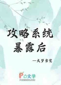 攻略成功后，系统暴露了